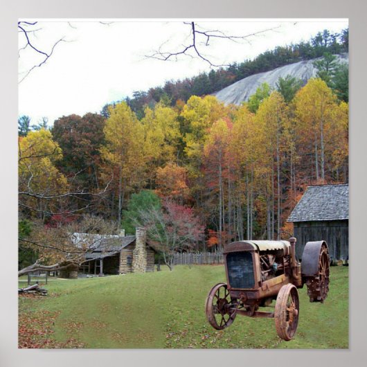 STONE MOUNTAIN-N.C. STATE PARK-POSTER POSTER (Voorkant)