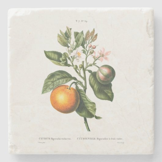 STONE ONDERZETTER MET REDOUTÉ "BITTER ORANJE" (Voorkant)