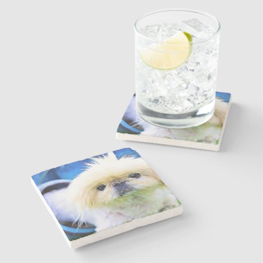 Stone Onderzetter Pekingese Marcus! (Zijkant)