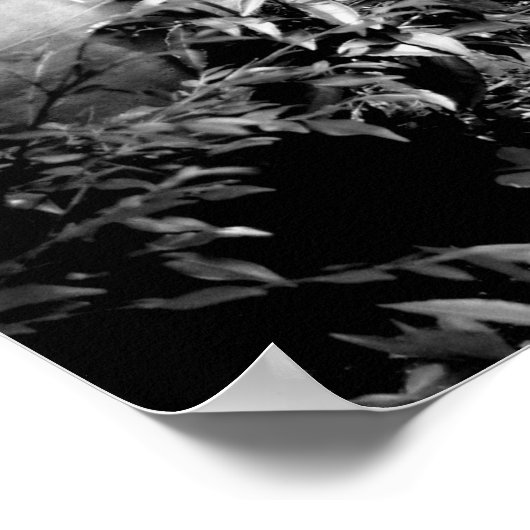 Stone pad in zwart-wit poster (Hoek)