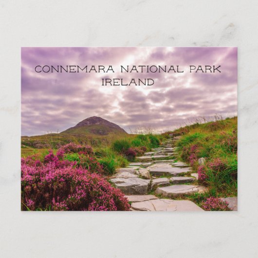 Stone Path, Wildbloemen, Connemara National Park Briefkaart (Voorkant)