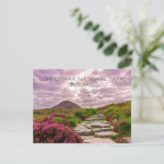 Stone Path, Wildbloemen, Connemara National Park Briefkaart (Staand voorkant)