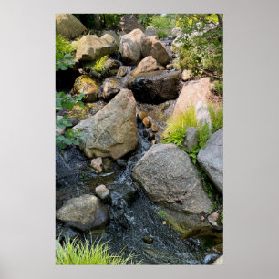 Stone River bed waterval bosgroen Poster