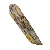 "Stone" Skateboard (Voorkant)