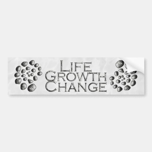 Stone Spiral Life Growth Change Bumpersticker (Voorkant)