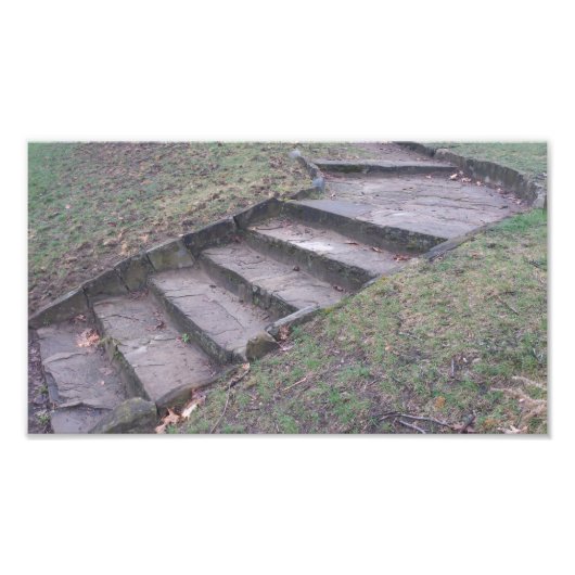 Stone Stairs met hoog park Foto Afdruk (Voorkant)