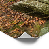 Stone Stairway in het najaar - Heavener, Oklahoma. Poster (Hoek)