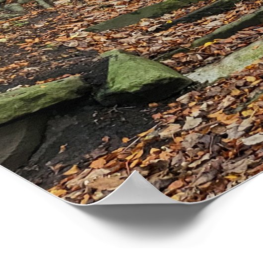 Stone stappen in de Bossen Poster (Hoek)