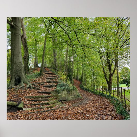 Stone stappen in de Bossen Poster (Voorkant)