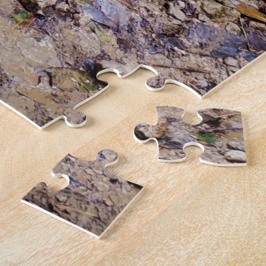 Stone Steps Through Green Legpuzzel (Zijkant)