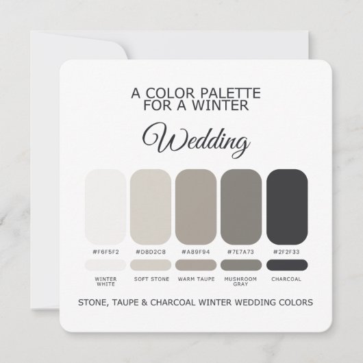 Stone Taupe Charcoal Winter Wedding Palette Card Kaart (Voorkant)