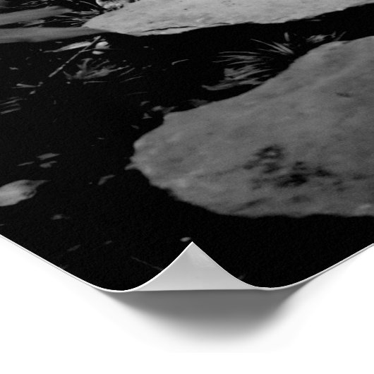 Stone Tuin pad Poster (Hoek)