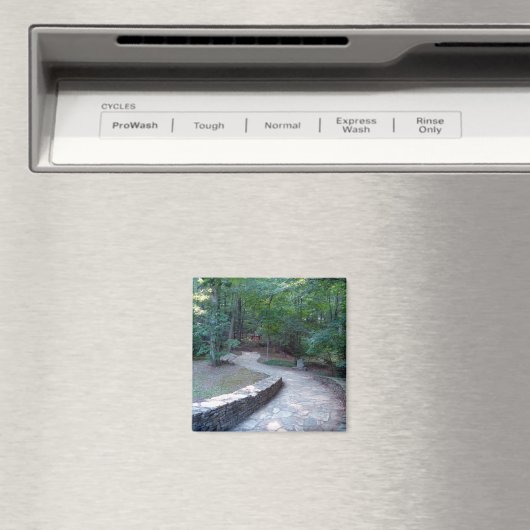 Stone Walkway East Ridge Trail Amicalola Magnet (Insitu (Vaatwasser))