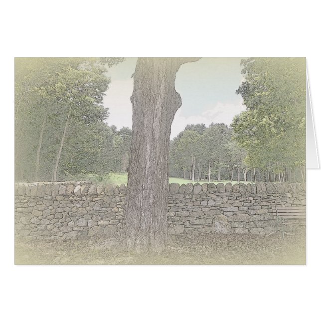 Stone Wall Notecard (Voorkant Horizontaal)
