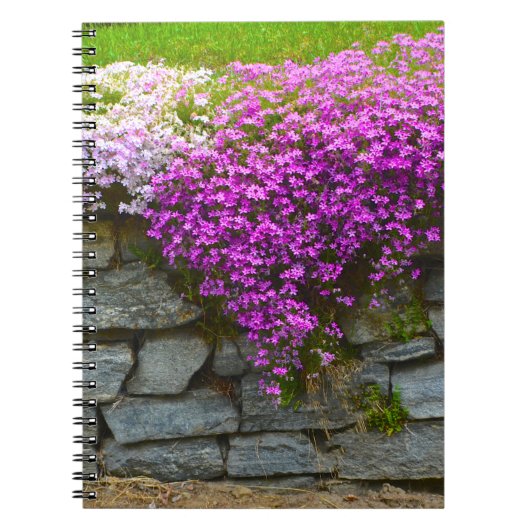 Stone Wall & Phlox-Notitieboek Notitieboek (Voorkant)