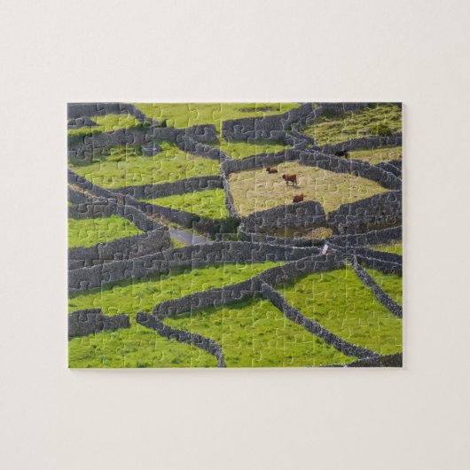 Stone Walls Galway Ireland. Legpuzzel (Horizontaal)