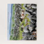 Stone Walls of Kerry. Jigzaag Puzzle Legpuzzel (Verticaal)