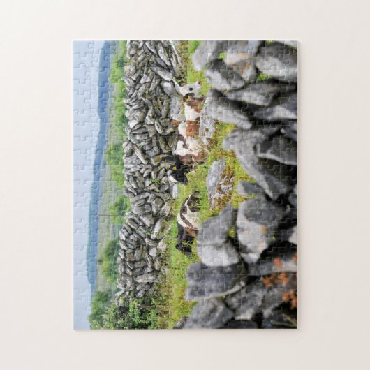 Stone Walls of Kerry. Legpuzzel (Verticaal)
