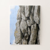 Stone Walls the Aran Islands Galway Ireland Legpuzzel (Verticaal)