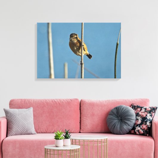 Stonechat Canvas Afdruk (Insitu (Woonkamer))