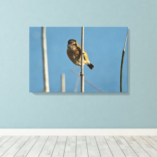 Stonechat Canvas Afdruk (Insitu (Houten vloer))