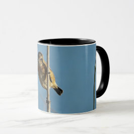Stonechat Mok