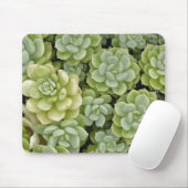 Stonecrop plantpatroon muismat (Met muis)