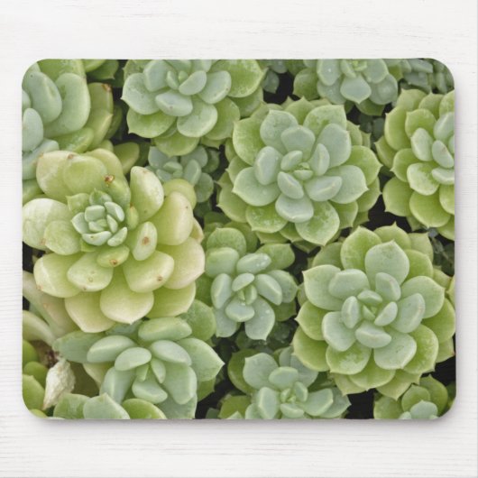 Stonecrop plantpatroon muismat (Voorkant)