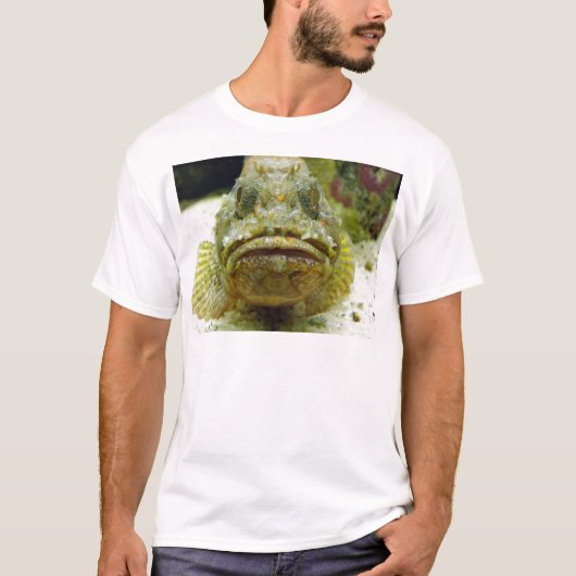 Stonefish T-shirt (Voorkant)