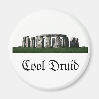 Stonehenge - Cool Druïd Magneet