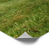 Stonehenge Draak Poster (Hoek)