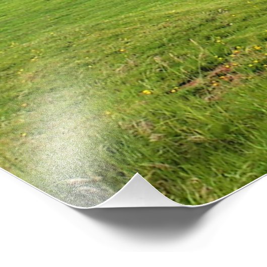 Stonehenge Meditation Foto Afdruk (Hoek)