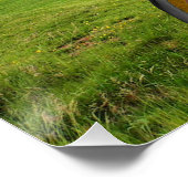 Stonehenge Meditation Perfect Poster (Hoek)