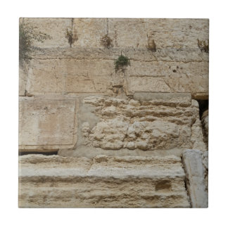Stones Kotel Western Wall Jerusalem Tegeltje