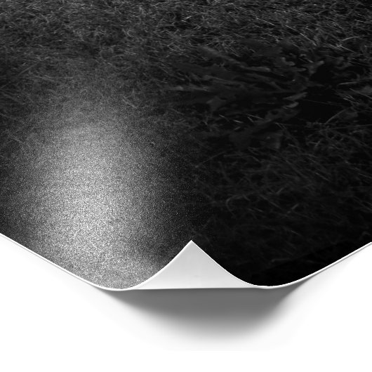 Stone's Throw Foto Afdruk (Hoek)