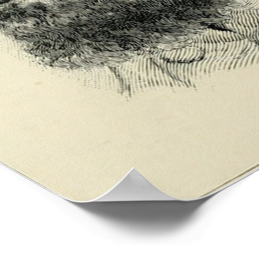 Stonewall Jackson Poster (Hoek)