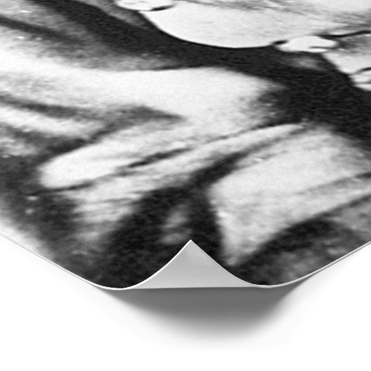 Stonewall Jackson Poster (Hoek)