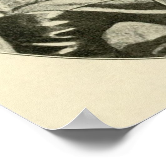 Stonewall Jackson Poster (Hoek)