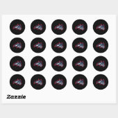 Stony Brook Seawolves Icon Ronde Sticker (Vel)