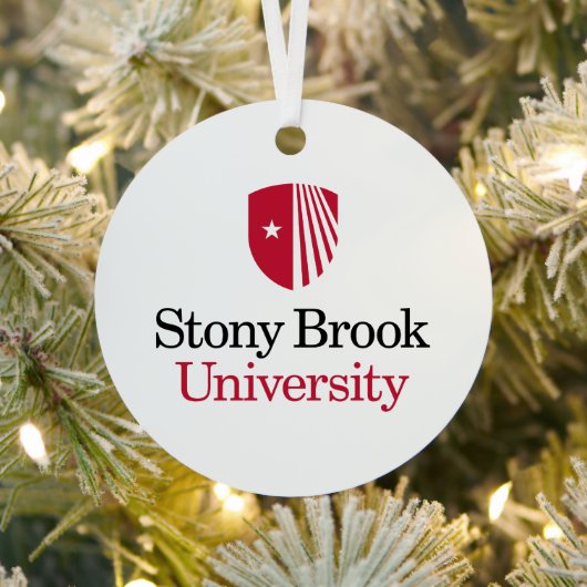 Stony Brook University | Woordmerk Metalen Ornament (Insitu)