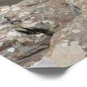 Stony Man Cliffs in het Shenandoah National Park Poster (Hoek)