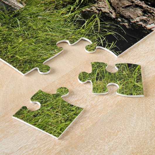 Stony Point Lighthouse, New York Legpuzzel (Zijkant)