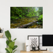 Stoom in bos, de Knysna-Amatole Montane Poster (Thuiskantoor)