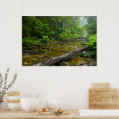 Stoom in bos, de Knysna-Amatole Montane Poster (Keuken)
