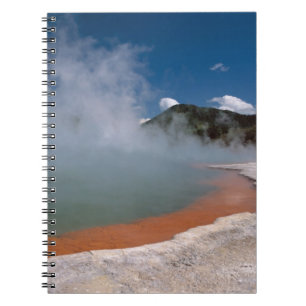 Stoom stijgend uit Champagne Pool bij WAI-O-TAPU Notitieboek
