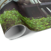 Stoomengine Cadeaupapier (Rol Hoek)