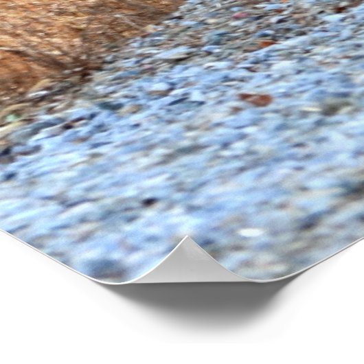 Stoomengine Poster (Hoek)