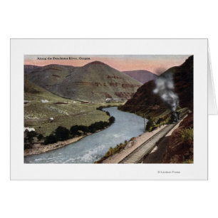 Stoomlocomotieven op spoor