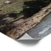 Stoomlocomotieven op spoor poster (Hoek)