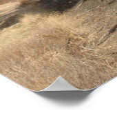 Stoommotor in het Poster van de zon (Hoek)